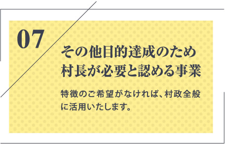 その他目的達成のため村長が必要と認める事業