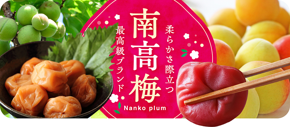 南高梅