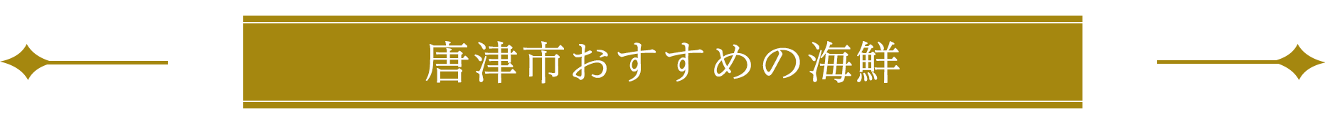 唐津市おすすめの海鮮