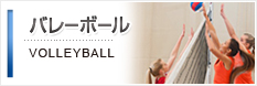 バレーボールアイテム
